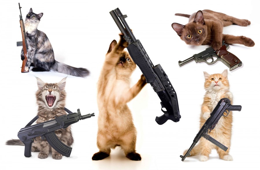 Cats-with-Guns
